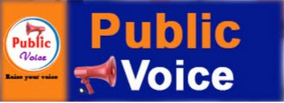 Public Voice