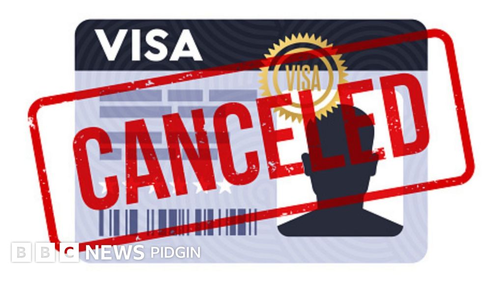 US visa revoked: Why Trump revoke di visas of more dan 100,000 US residents, including student visas